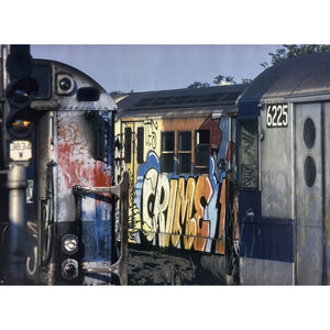 MARTHA COOPER - 2004 - MARTHA COOPER EXHIBITION POSTER / HIP HOP FILES (SUBWAY TAG)