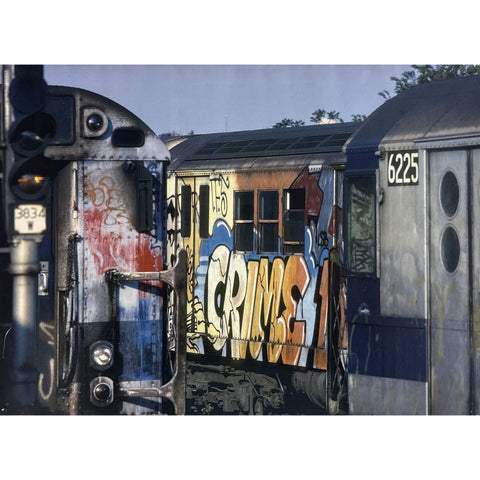 MARTHA COOPER - 2004 - MARTHA COOPER EXHIBITION POSTER / HIP HOP FILES (SUBWAY TAG)