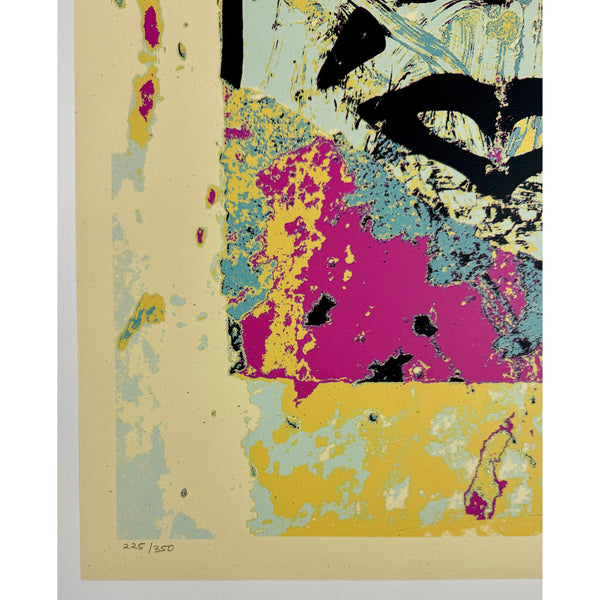 SHEPARD FAIREY (OBEY GIANT) - 2019 - ENHANCED DISINTEGRATION (PINK)