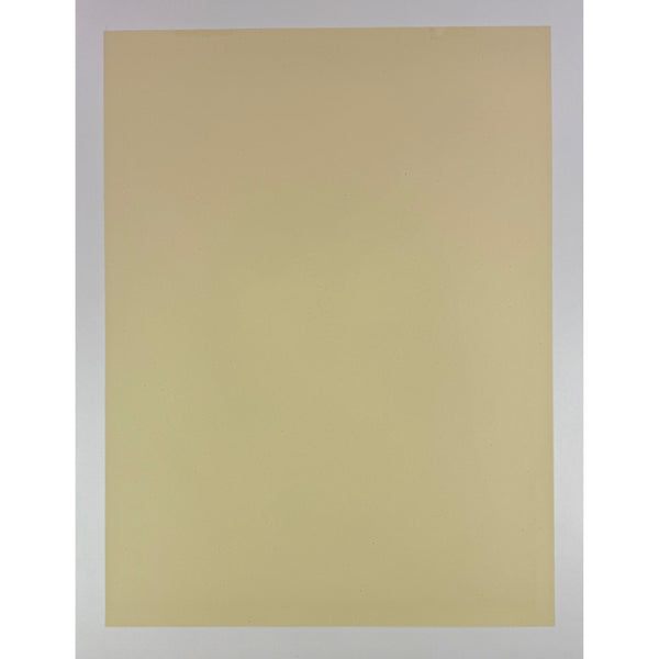 SHEPARD FAIREY (OBEY GIANT) - 2020 - OBEY HOLIDAY (PEACE DOVE)