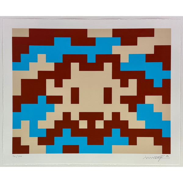 SPACE INVADER - 2024 - CAMO M-3C-M1 (CAMOUFLAGE MEDIUM NVDR3-1)