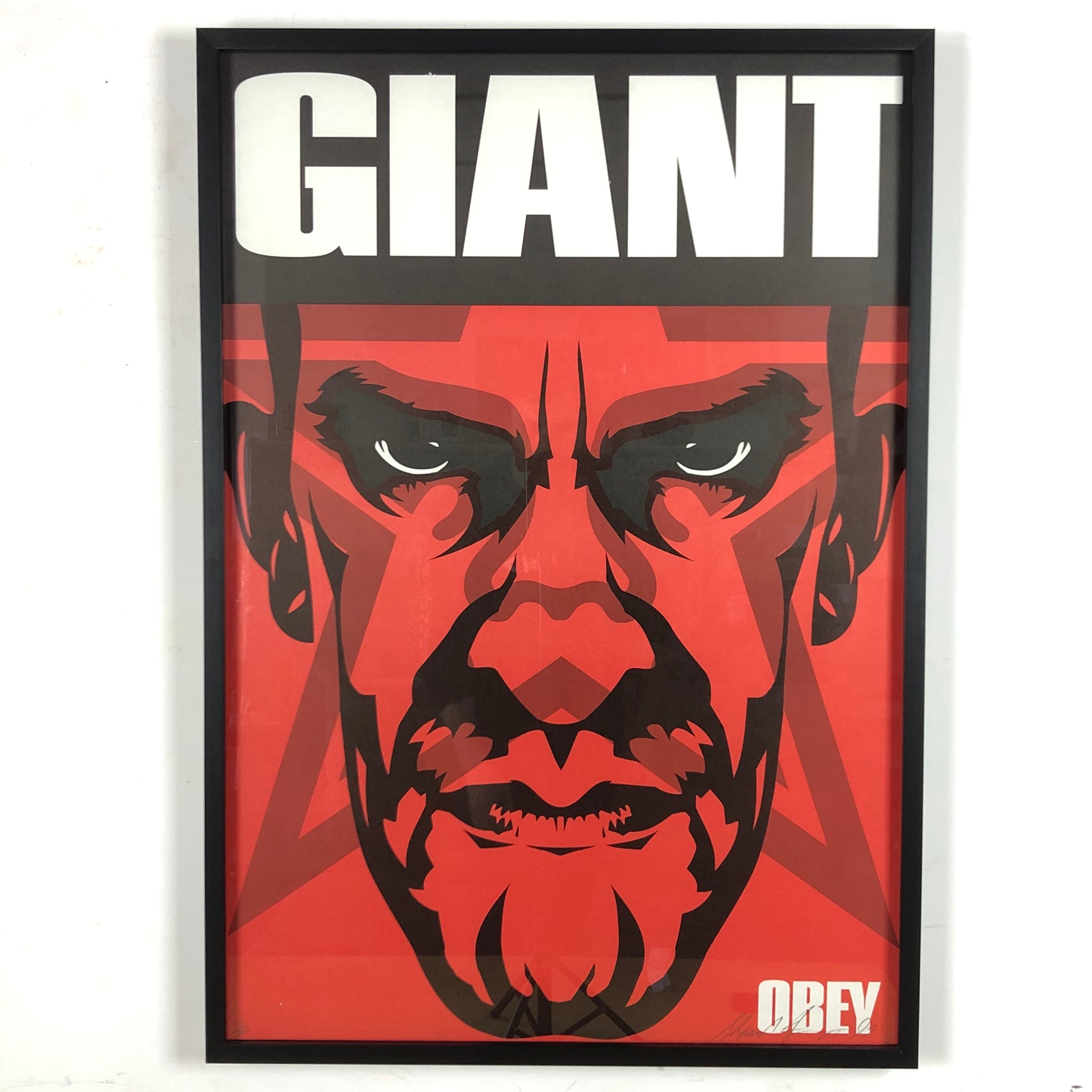 SHEPARD FAIREY (OBEY GIANT) - 1999 - BIG BROTHER '99